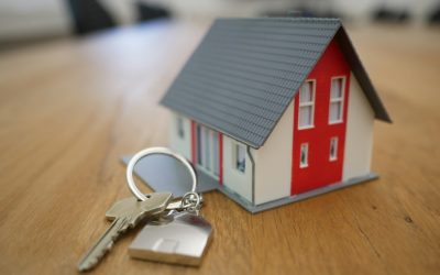 Quick Note on Interest Rates This Week